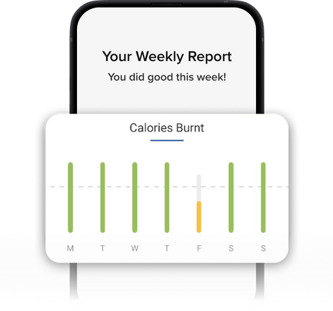 Daily & Weekly Insights