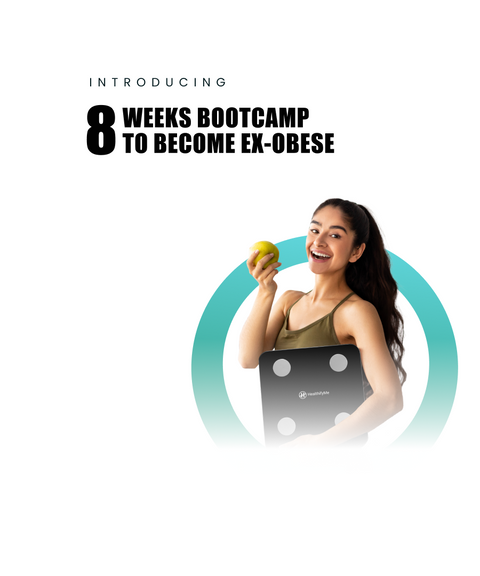 B-XO Bootcamp